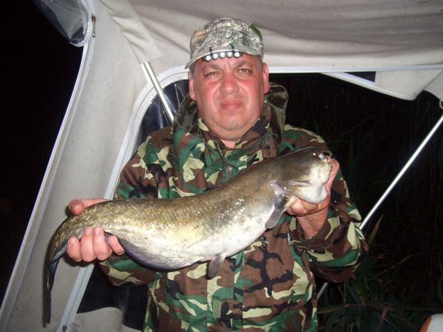 capturi - sany0752.JPG